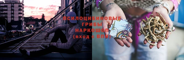 spice Аркадак