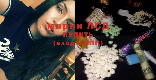 spice Аркадак