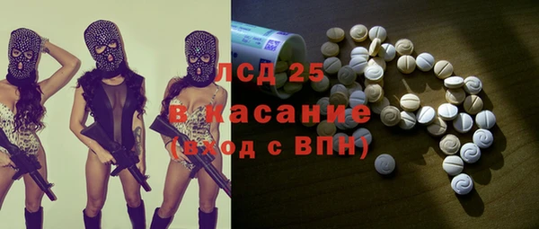 spice Аркадак